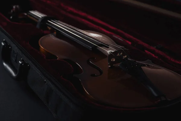 Primo piano del classico contrabbasso in legno in cassa aperta — Foto stock