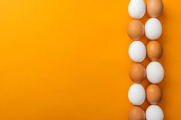 Top view of white and brown organic chicken eggs on bright orange background with copy space — Stock Photo