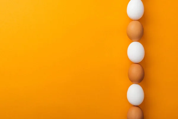 Top view of white and brown organic chicken eggs in row on bright orange background with copy space — Stock Photo