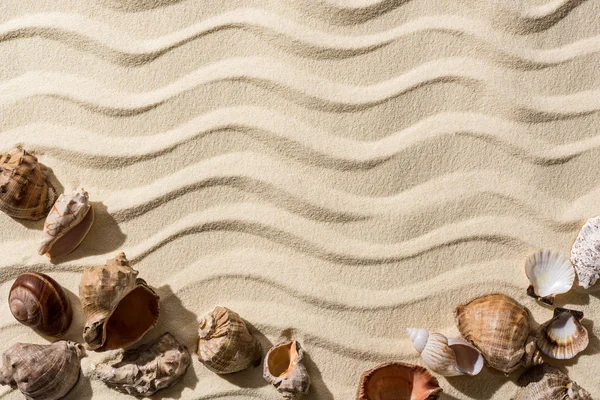 Top view of sandy background with smooth waves, seashells and copy space — Stock Photo