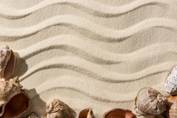 Top view of sandy background with smooth waves, seashells and copy space — Stock Photo