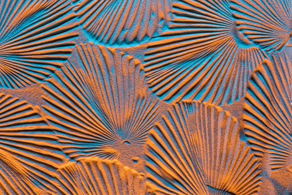 Draufsicht auf strukturierten Hintergrund mit Blattprints auf Sand und Farbfilter — Stockfoto
