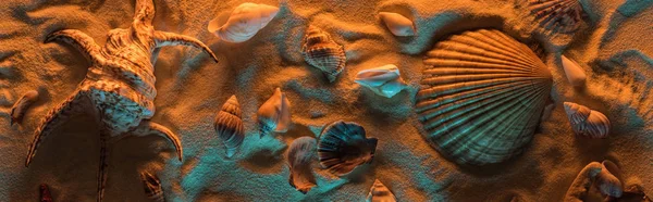 Panoramic shot of seashells and starfish on sand with orange and blue lights — Stock Photo