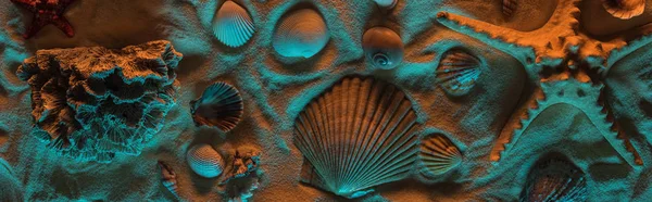 Tiro panorâmico de conchas, estrelas do mar, pedras do mar e corais na areia com luzes laranja e azul — Fotografia de Stock
