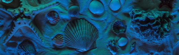 Tiro panorâmico de conchas, estrelas do mar, pedras do mar e coral na areia com luz azul — Fotografia de Stock