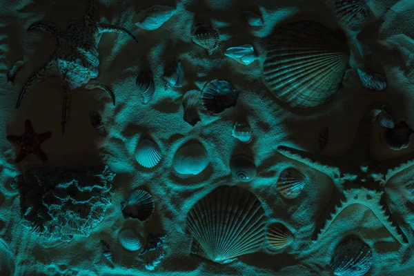 Draufsicht auf Muscheln, Seesterne, Meeressteine und Korallen auf Sand mit blauem Licht — Stockfoto