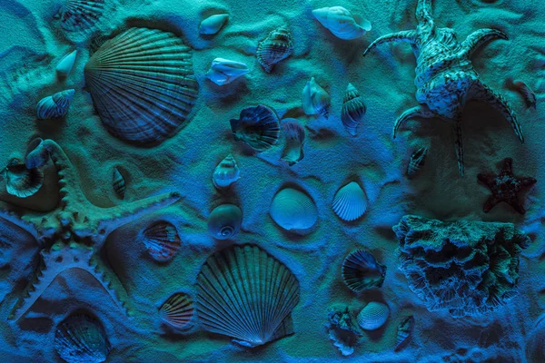 Vista superior de conchas marinas, estrellas de mar, piedras marinas y corales sobre arena con luz azul - foto de stock