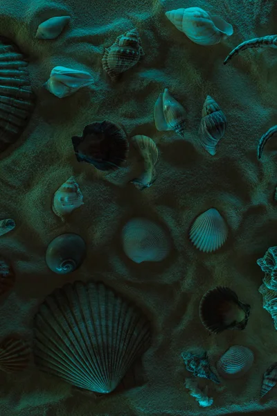 Vista superior de conchas marinas y piedras marinas sobre arena con luz oscura - foto de stock