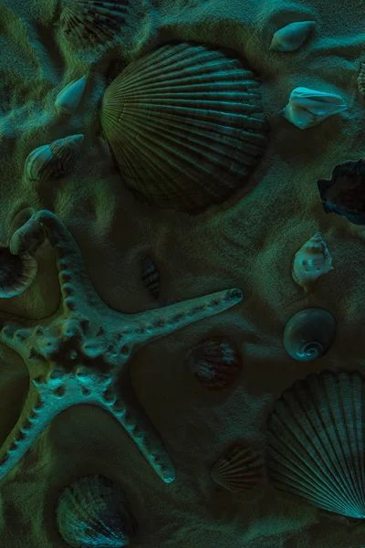 Vista superior de conchas marinas y estrellas de mar sobre arena con luz oscura - foto de stock