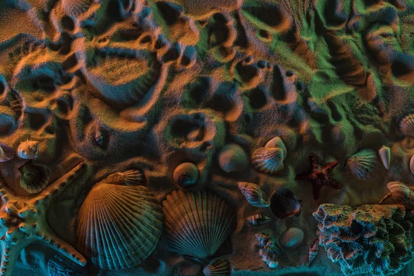 Vista superior de diferentes conchas, estrelas do mar, corais e vestígios deles na areia com luzes laranja, verde e azul — Fotografia de Stock