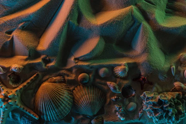 Vista superior de conchas marinas, estrellas de mar, corales sobre arena texturizada con luces naranjas, verdes y azules y espacio para copiar - foto de stock