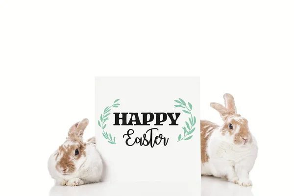 Coelhinhos bonitos perto da placa com letras felizes Páscoa isolado no branco — Fotografia de Stock