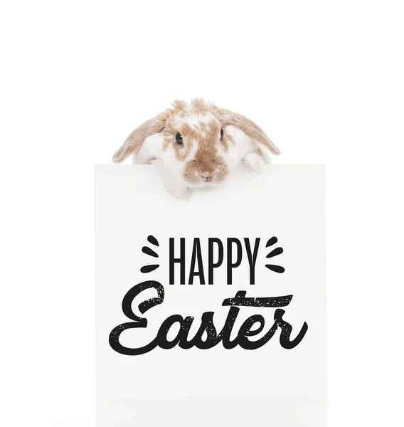 Niedlicher Hase an Bord mit schwarzem Happy-Easter-Schriftzug isoliert auf weiß — Stockfoto