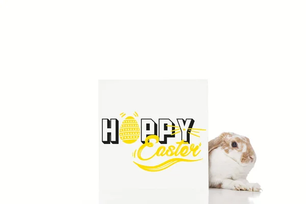 Cute bunny near board with happy Easter illustration isolated on white — Stock Photo