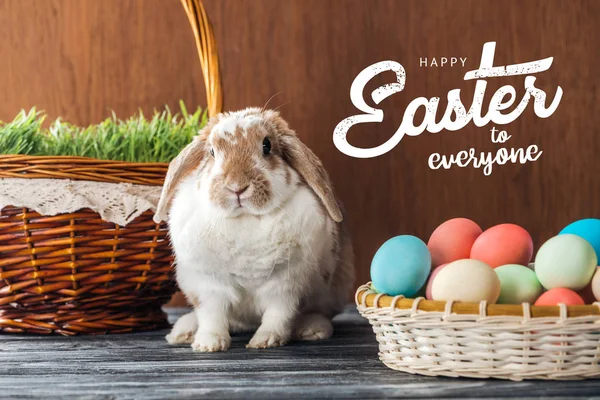 Cute bunny near wicker baskets with green grass and colorful chicken eggs with happy Easter to everyone lettering on wooden background — Stock Photo