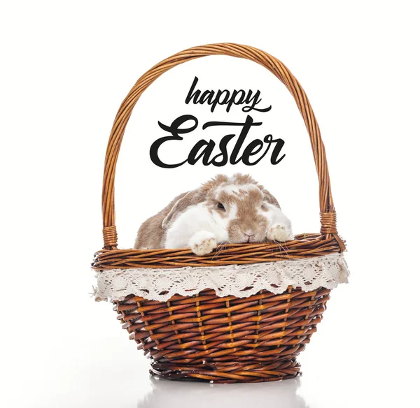 Cute bunny in wicker basket isolated on white with happy Easter lettering — Stock Photo