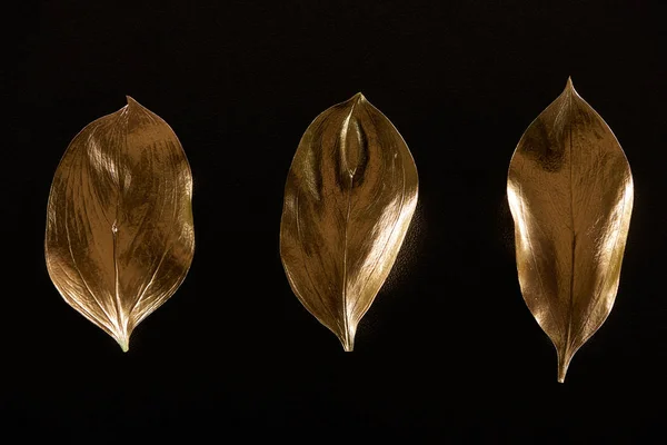 Top view of golden metal decorative leaves isolated on black — Stock Photo