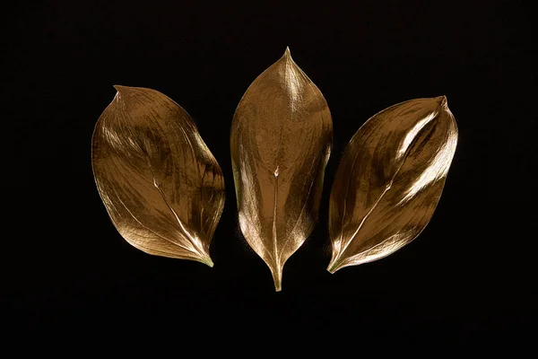 Vue de dessus de trois feuilles décoratives en métal doré isolées sur noir — Photo de stock