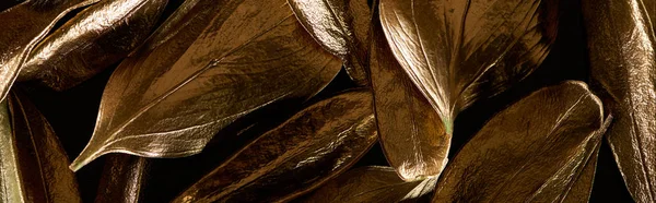 Panoramic shot of gold metal decorative leaves isolated on black — Stock Photo