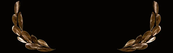 Панорамний знімок золотистого листя ізольовано на чорному з копіювальним простором — стокове фото