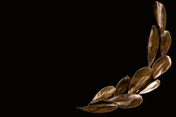 Вид зверху на золото блискуче листя ізольоване на чорному з простором для копіювання — стокове фото