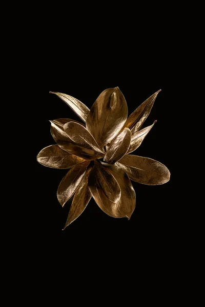 Vista superior de la flor decorativa de metal dorado aislado en negro — Stock Photo