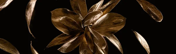 Panoramic shot of golden metal decorative flower and leaves isolated on black — Stock Photo