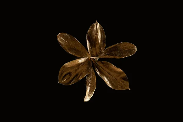 Vue de dessus des feuilles décoratives en métal doré isolées sur noir — Photo de stock