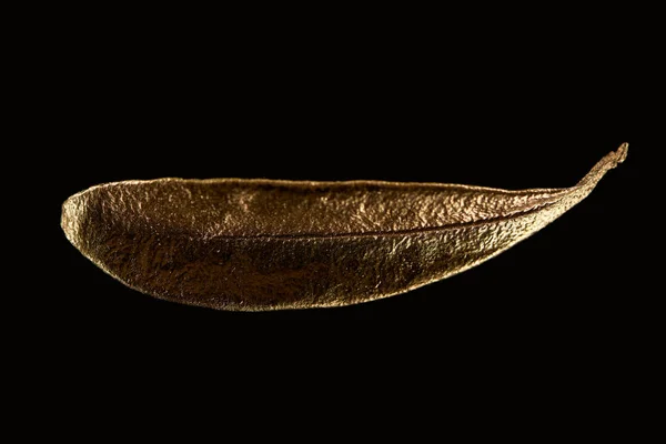 Top view of golden metal decorative leaf isolated on black — Stock Photo