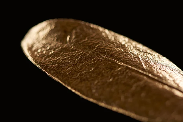 Close up of golden textured metal decorative leaf isolated on black — Stock Photo