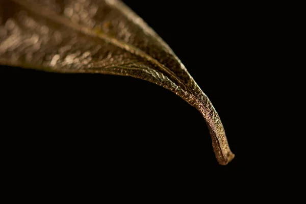 Gros plan de feuille décorative texturée or isolé sur noir — Photo de stock