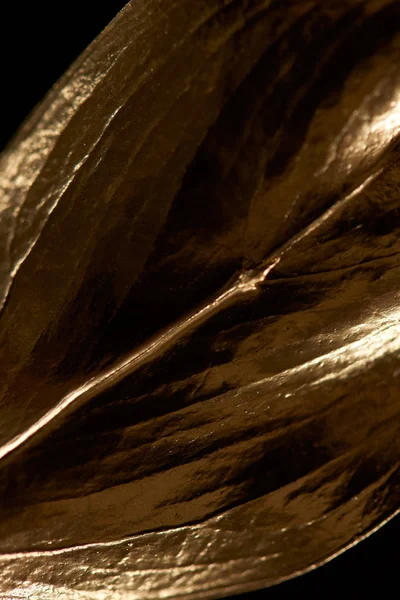 Close up of gold textured leaf isolated on black — Stock Photo
