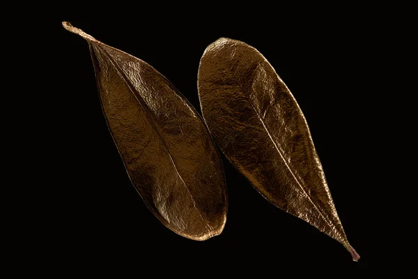 Vue de dessus de deux feuilles décoratives en métal doré isolées sur noir — Photo de stock