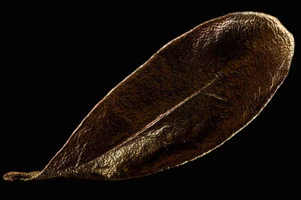 Вид сверху на золотой лист, изолированный на черном — стоковое фото
