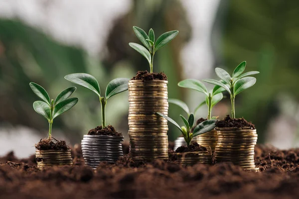 Monedas de plata y oro con suelo y hojas verdes, concepto de crecimiento financiero - foto de stock