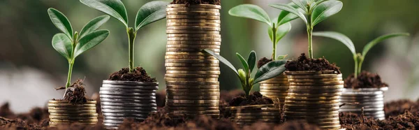 Plano panorámico de plata y monedas de oro con hojas verdes y suelo, concepto de crecimiento financiero - foto de stock