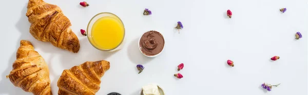 Colpo panoramico di gustosi croissant vicino ciotola con crema al cioccolato, succo d'arancia e fiori secchi su bianco — Foto stock