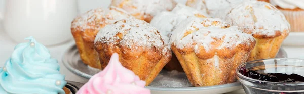 Plan panoramique de muffins décorés de sucre en poudre sur assiette — Photo de stock