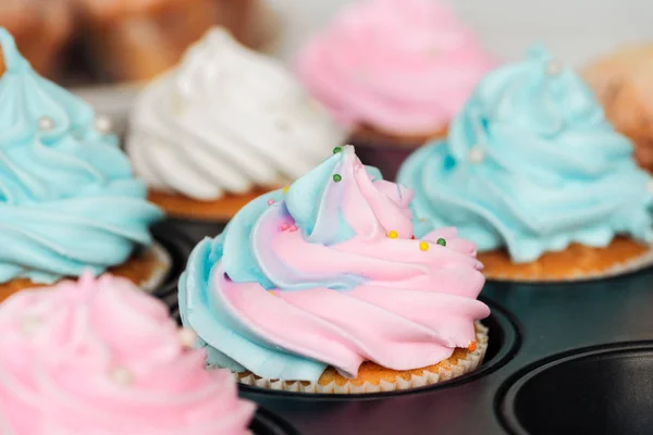 Selective focus of delicious blue and pink cupcakes decorated with sprinkles in cupcake tray — Stock Photo