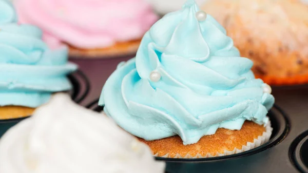 Primer plano de deliciosos cupcakes azules decorados con aspersiones en bandeja de cupcakes - foto de stock