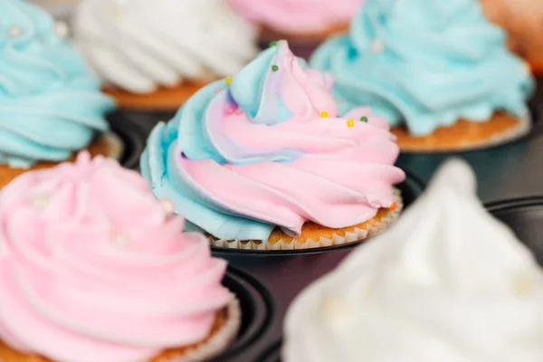 Primer plano de deliciosos cupcakes azules y rosados decorados con chispas en bandeja de cupcakes - foto de stock