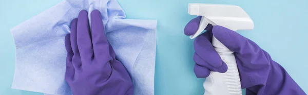 Панорамний знімок прибиральника в фіолетових гумових рукавичках, що тримає ганчірку і пляшку спрею з миючим засобом на синьому фоні — стокове фото