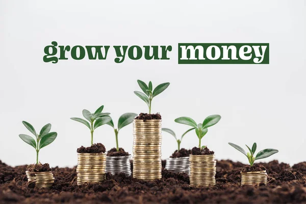 Stacks of coins with soil and growing plants near grow your money inscription isolated on white, business concept — Stock Photo