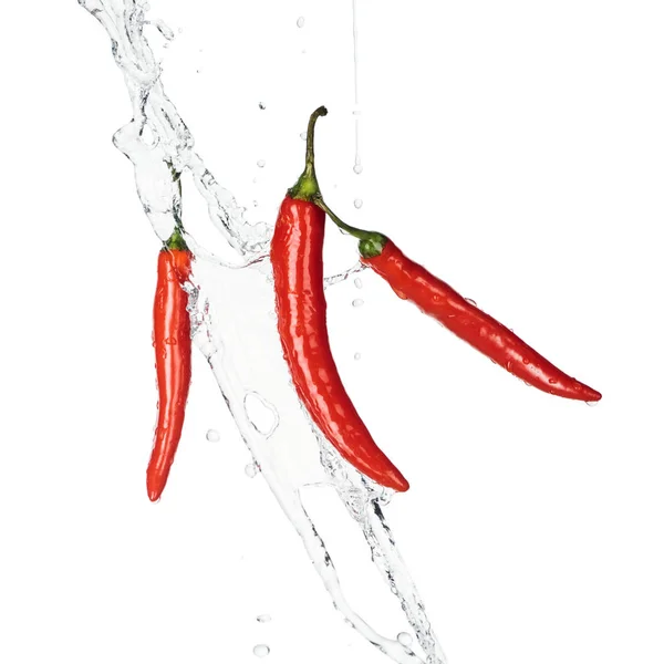 Chiles rojos picantes con salpicaduras de agua clara y gotas aisladas en blanco - foto de stock