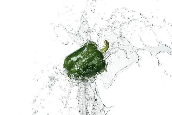 Poivron vert frais avec éclaboussure d'eau claire isolé sur blanc — Photo de stock