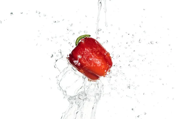 Pimentão vermelho saboroso inteiro com respingo de água clara isolado no branco — Fotografia de Stock