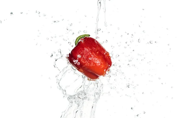 Pimiento rojo sabroso entero con salpicadura de agua clara aislada en blanco - foto de stock