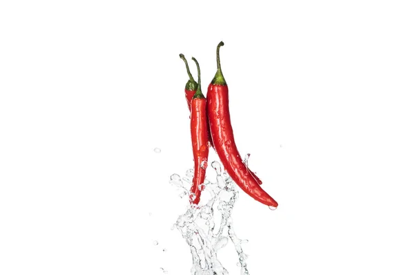 Colorful spicy red chili peppers with clear water splash isolated on white — Stock Photo