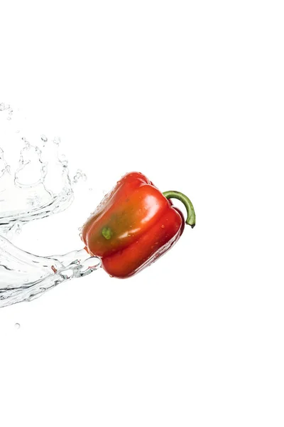 Pimiento rojo sabroso entero con salpicadura de agua clara y gotas aisladas en blanco - foto de stock