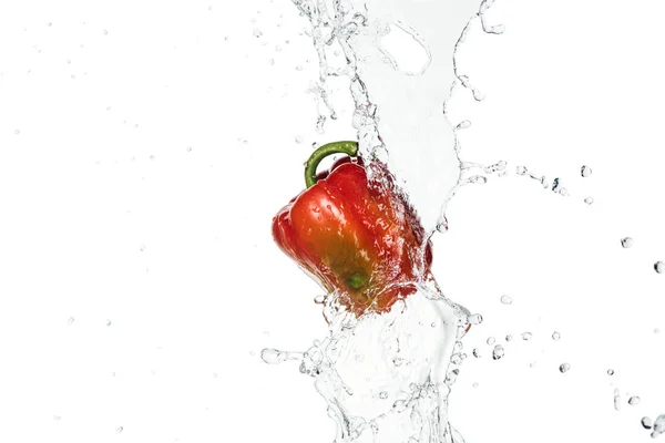 Leckere frische rote Paprika mit klarem Wasserspritzer und Tropfen isoliert auf weißem — Stockfoto